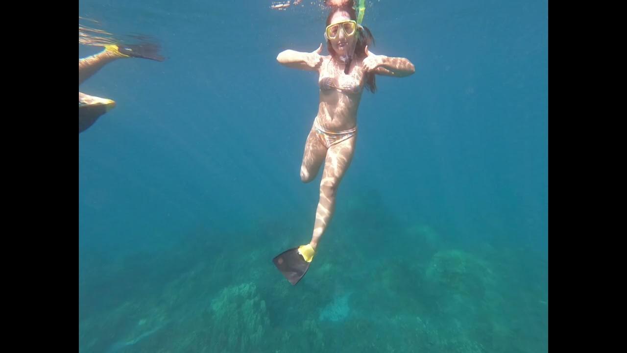 Snorkeling in Maui, Hawaii ‘23 YouTube