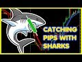 Learn how to plot the Shark Pattern
