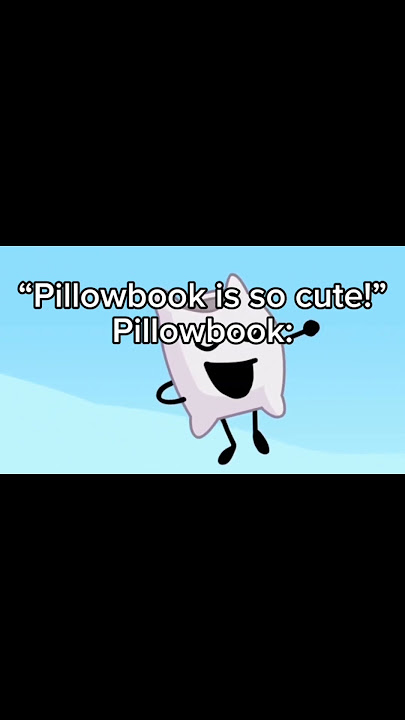 The Pillowbook Moment (Pillow & Book). #bfdi