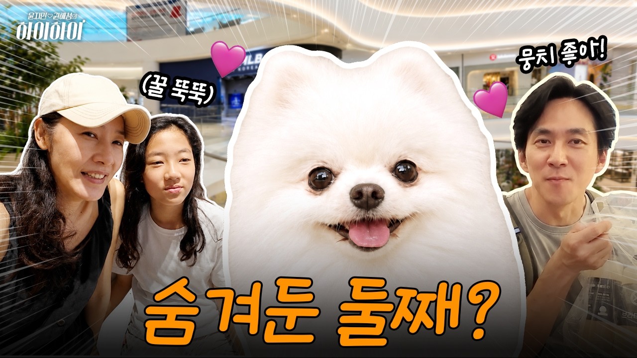 [VLOG] 포메 뭉치와 함께한 꿈같은 이틀 (강아지 임시보호)