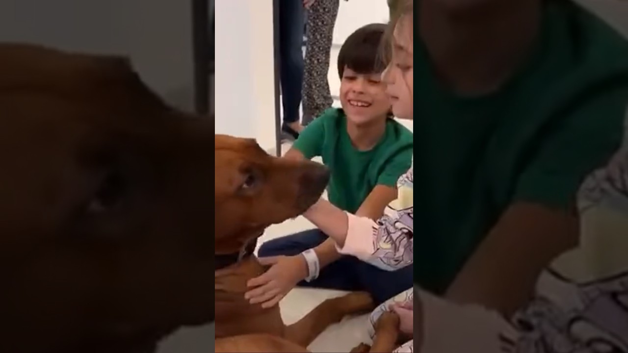 Kids finally reunite with their dog after 51 days in captivity. #israel