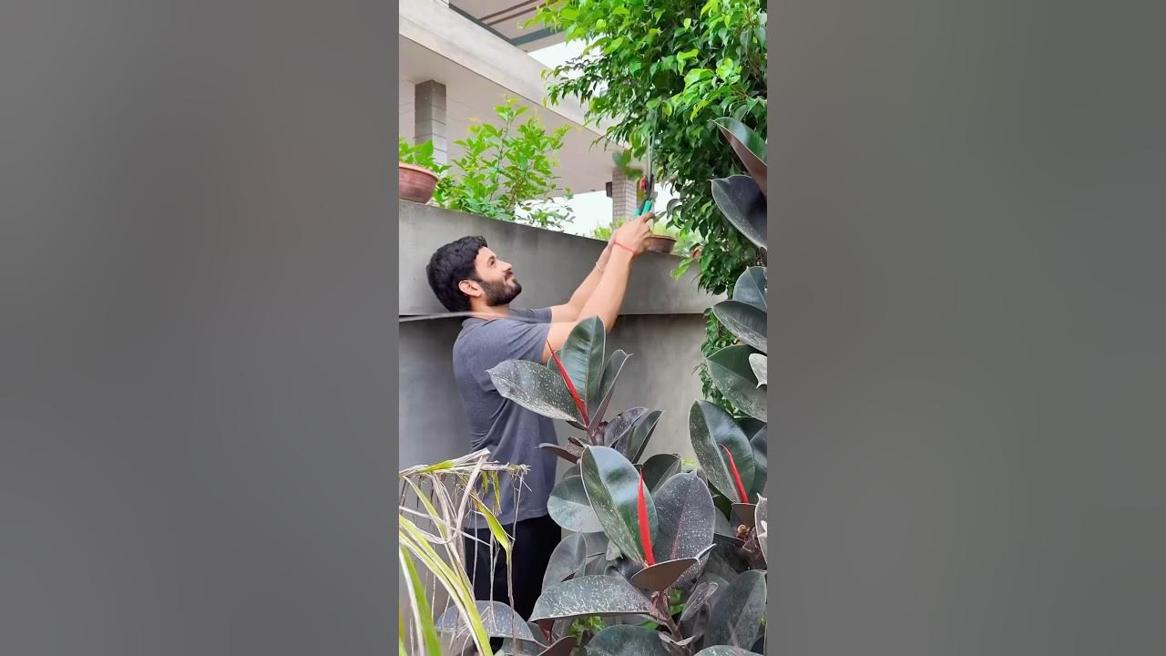 Mini vlog π₯° #ytshorts #reels #trending #youtube shorts #explore #trendingshorts #funny #comedy Mini vlog π₯° #ytshorts #reels #trending #youtube shorts #explore #trendingshorts #funny #comedy