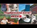 ПОДБРОСИЛИ КОТЯТ 🐈 | ИКЕА