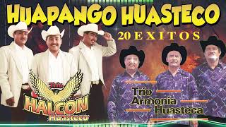 Lo Mejor de los Tríos Huastecos | Halcón Huasteco • Armonía Huasteca | Huapangos Huastecos Clásicos