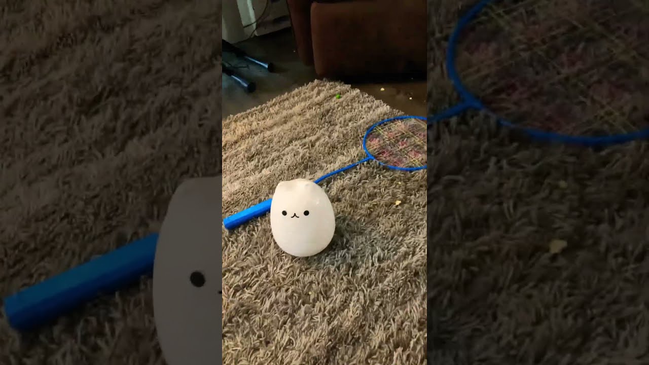  IT S ME EGG CAT