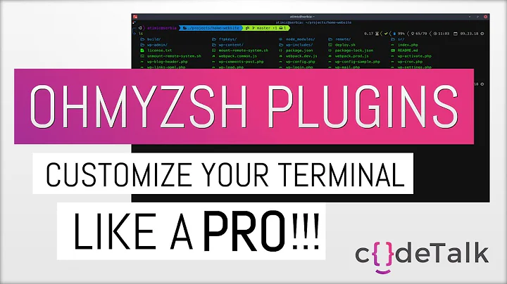 Customize your terminal like a PRO!!! Powerlevel9k theme and Oh-my-zsh plugins [PART 2]