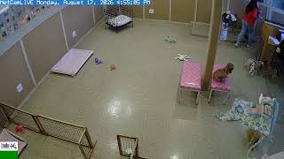 The Puppy Lounge for Little Dogs