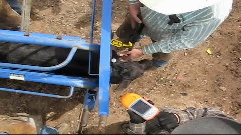 Electronic Livestock Idendification