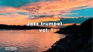 [Playlist] Sunset Stroll: Smooth Jazz Trumpet by the Sea | 노을진 바닷가를 산책하며 .....