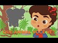 COMPILAÇÃO DE CANÇÕES INFANTIS | 🐘Aprenda sobre os ANIMAIS DA SELVA 🐵 | LEAOZINHO VOADOR 2022 ☁️🦁☁️