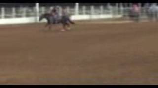 Storey eye fly- 5th in the 3D screenshot 4