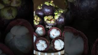 Misteri Buah Manggis Terungkap!