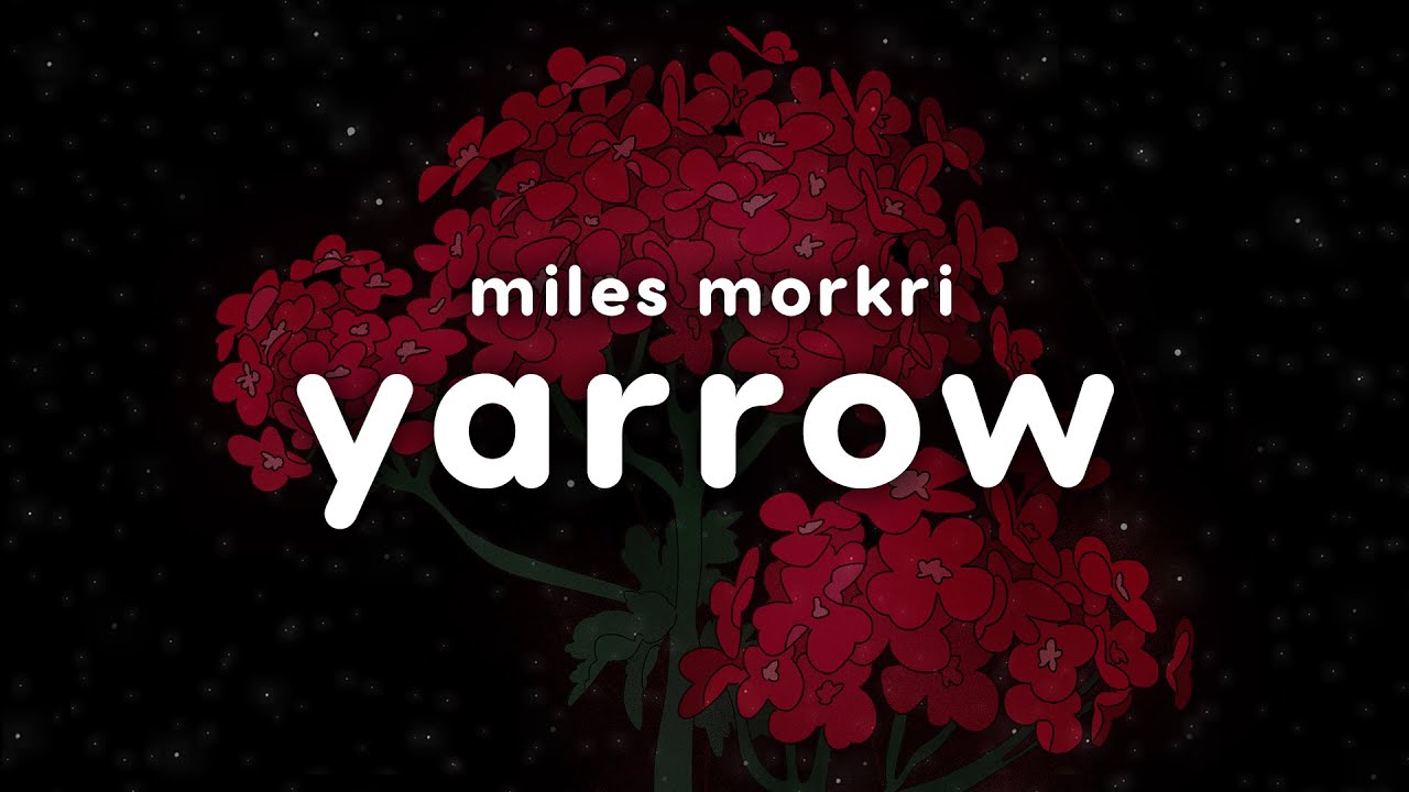 Floral Folklore | miles morkri – “yarrow” (feat. Michaela Nachtigall)