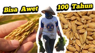🔴 EXPENSIVE KNOWLEDGE I GIVE FOR FREE 🔴 How to Store Plant Seeds for Up to 100 Years Without Dama...