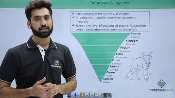 Class 11th – Taxonomic Categories | The Living World | Tutorials Point