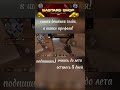 подпишись) #веля #standoff2 #стандофф2 #standoff #standoff2024 #стендофф2 #standoff2020