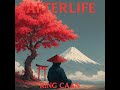 King CAAN AFTERLIFE