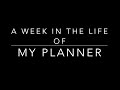 A Week in the Life of my Planner -November 2019