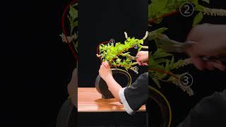 How Ikebana Follows the Curves of the Vase #japan #Ikebana #FlowerArrangement