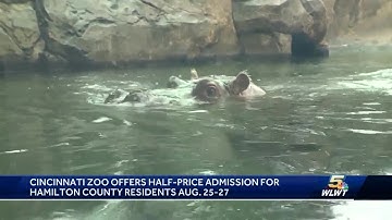 Cincinnati Zoo offering half-price admission to Hamilton County residents later this month