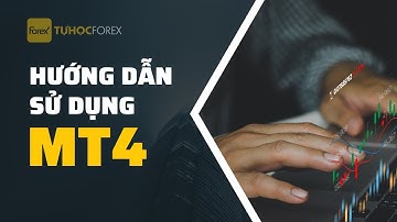Hướng Dẫn Sử Dụng MT4 Chi Tiết: Cài Đặt & Làm Quen Giao Diện
