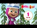 👱‍♀️🐻 Masha e Orso 🐺🐰 Storie di Animali 🐷🎬 1 ora ⏰ Collezione di cartoni animati per bambini