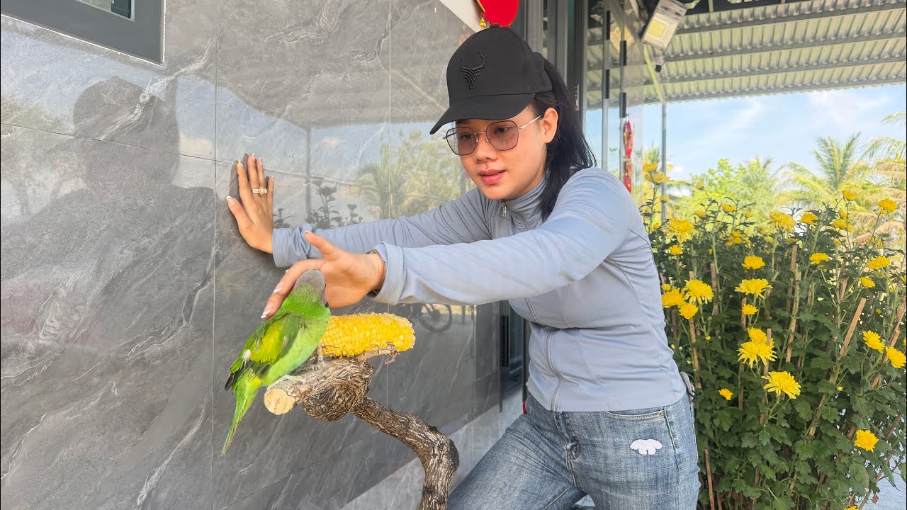 Cuối Cùng Đổ Bê Tông Trước Sân Cũng Xong Và Em Vẹt Có Duyên Với Em