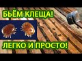 ПРОСТЕЙШАЯ ОБРАБОТКА ОТ КЛЕЩА ВАРОА!!!