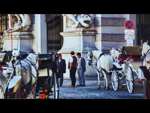 Wideo: Jak Dojechać Do Wiednia?