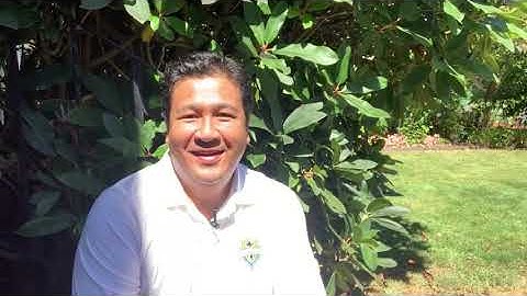 LDRD646 end of module 5 wrap up video