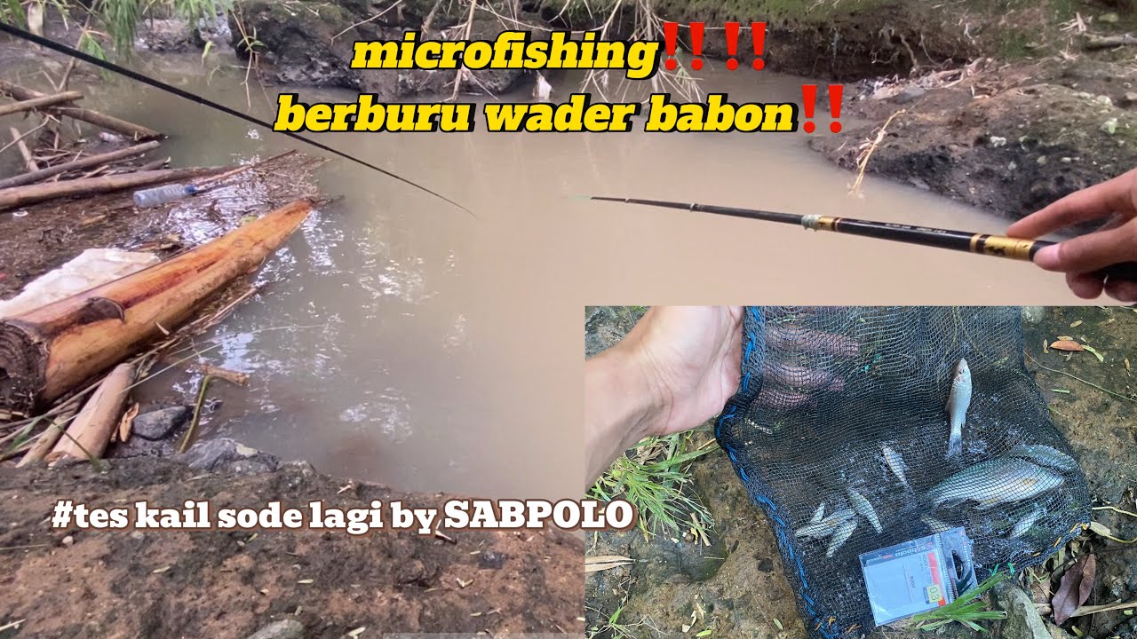 Wader Babon/Nilem naikan‼️tes kail pancing sode by Sabpolo ||microfishing
