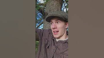 Go climb a #tree