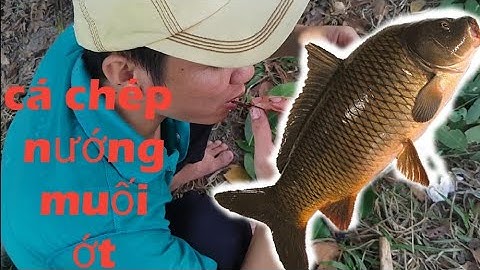 Cá chép nướng muối ớt ntn thi bà tân hay tam mao cũng chiệu - Grilled carp with salt and chili