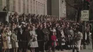 Witnifys Jfk Assassination