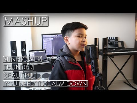 sunflower-x-thunder-x-you-need-to-calm-down-x-beautiful-||-alfredo-(mashup-remix)-cover