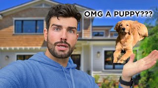 Living with A Puppy for a WEEK!