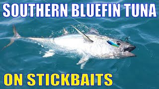 Southern Bluefin Tuna on Stickbaits with Luke Smith screenshot 2