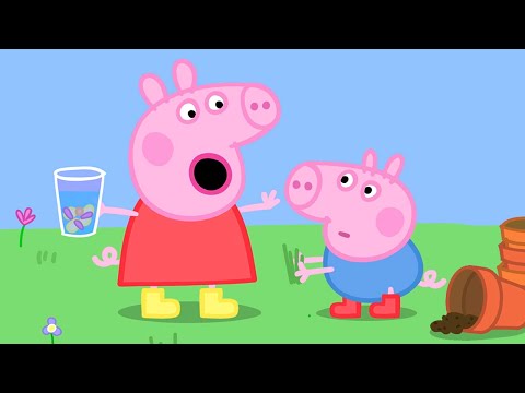 Peppa Pig - Peppa Makes Her Own Perfume! - Full Episode 6x03