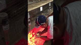Redland Market Village Homestead FL