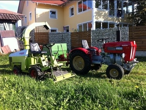 Pappel-Kurzumtriebsplantage: Häcksler fährt durch 15 cm-Stämme