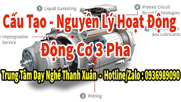 Cấu Tạo & Nguyên Lý Hoạt Động Của Động Cơ 3 Pha II Dạy Nghề Thanh Xuân 93 Nguyễn Tuân - 0936989090