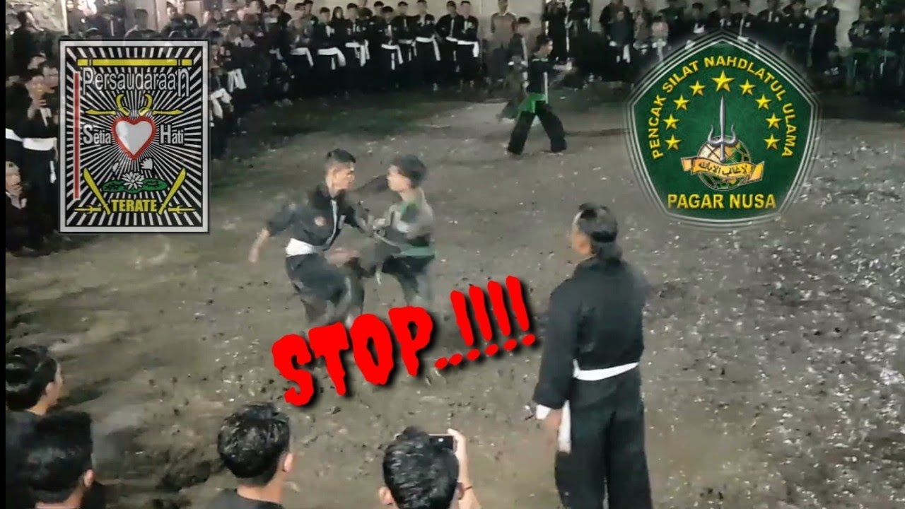 MESUJI LAGI..!!! PSHT VS PAGAR NUSA...!!! saling adu teknik tarung ..!!