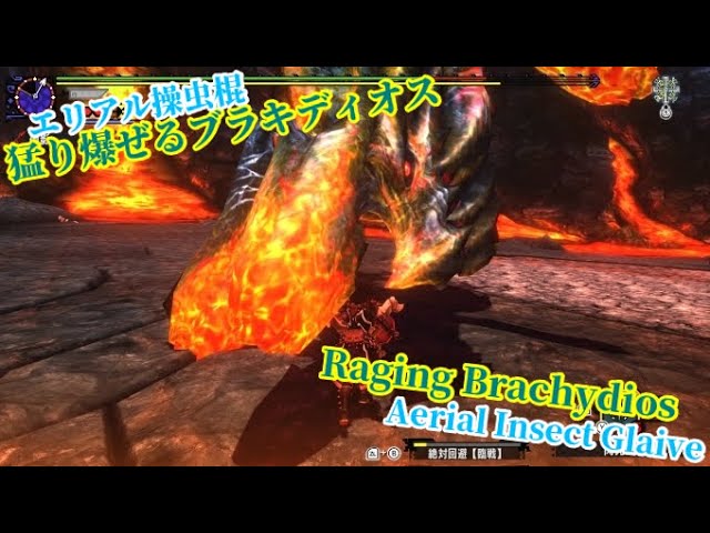 MHXX/GU】G☆4 猛り爆ぜるブラキディオス エリアルx操虫棍ソロ Insect