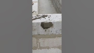 Bull mark for plaster