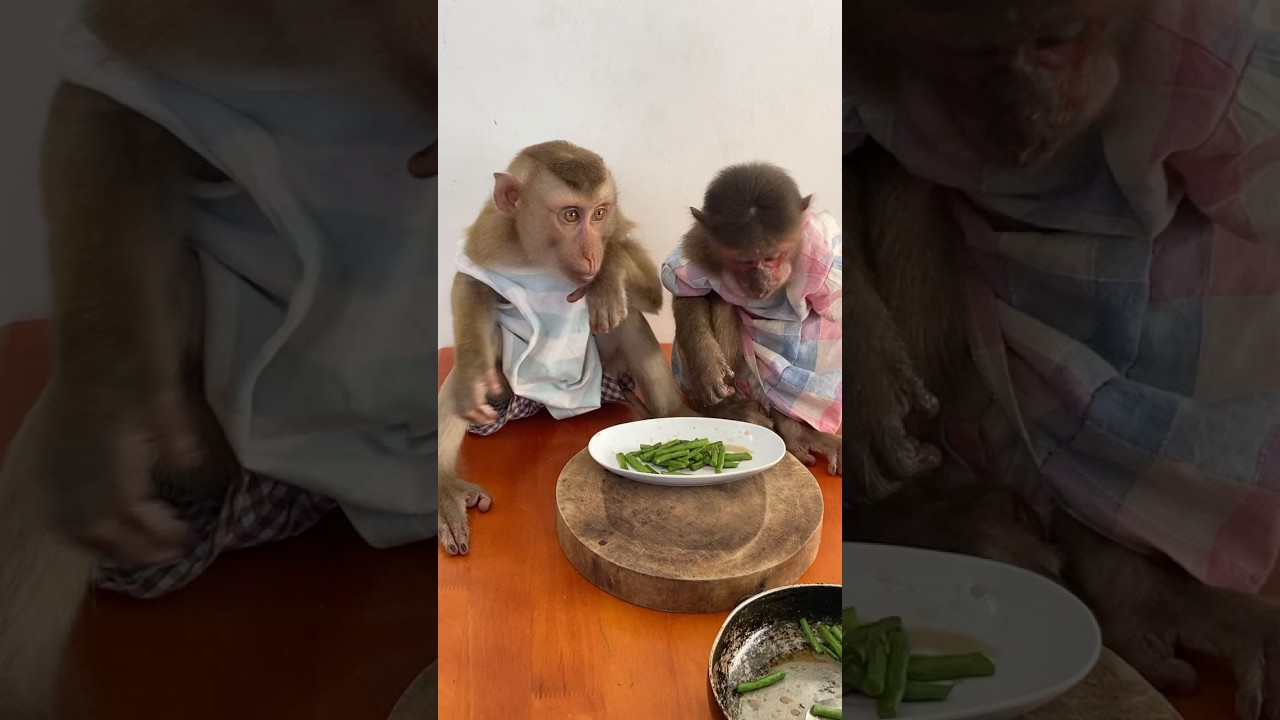 When stir-fried veggies become a feast! 🥢✨