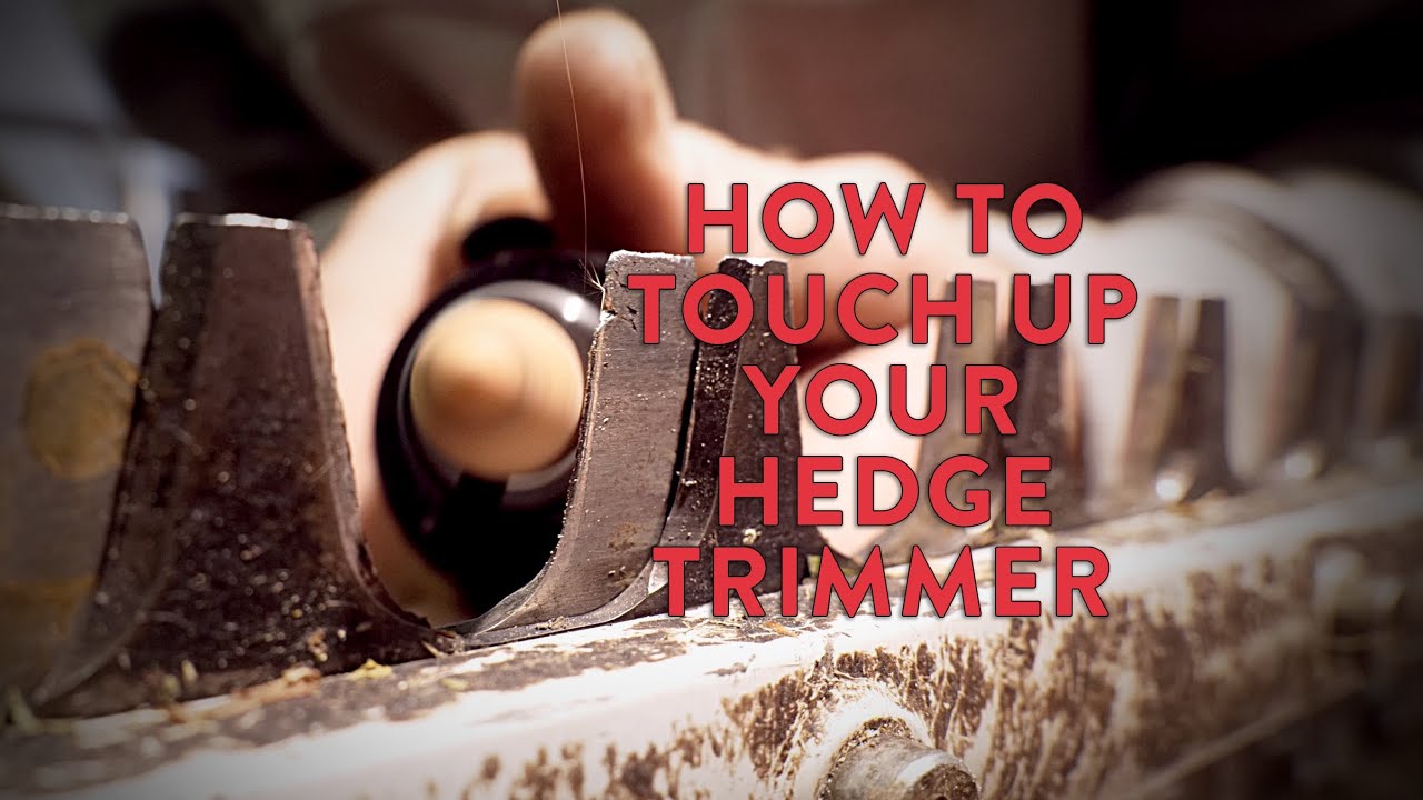 Quick Trimmer Touch Up - Fast & Easy Sharpening for Hedge Trimmers ...