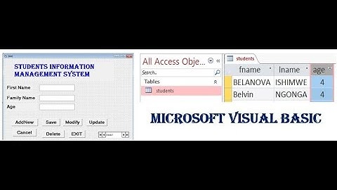 Visual Basic  Programming