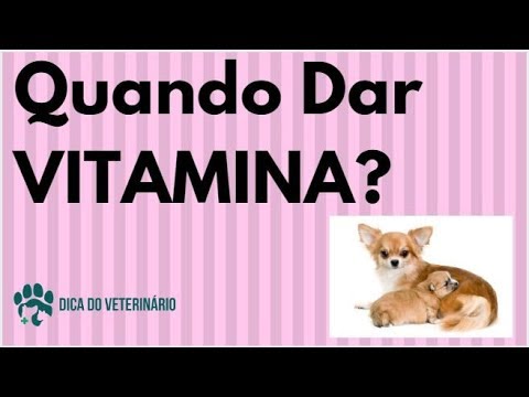 Vídeo: Eu tomo um multivitamínico, devo dar um ao meu cachorro?