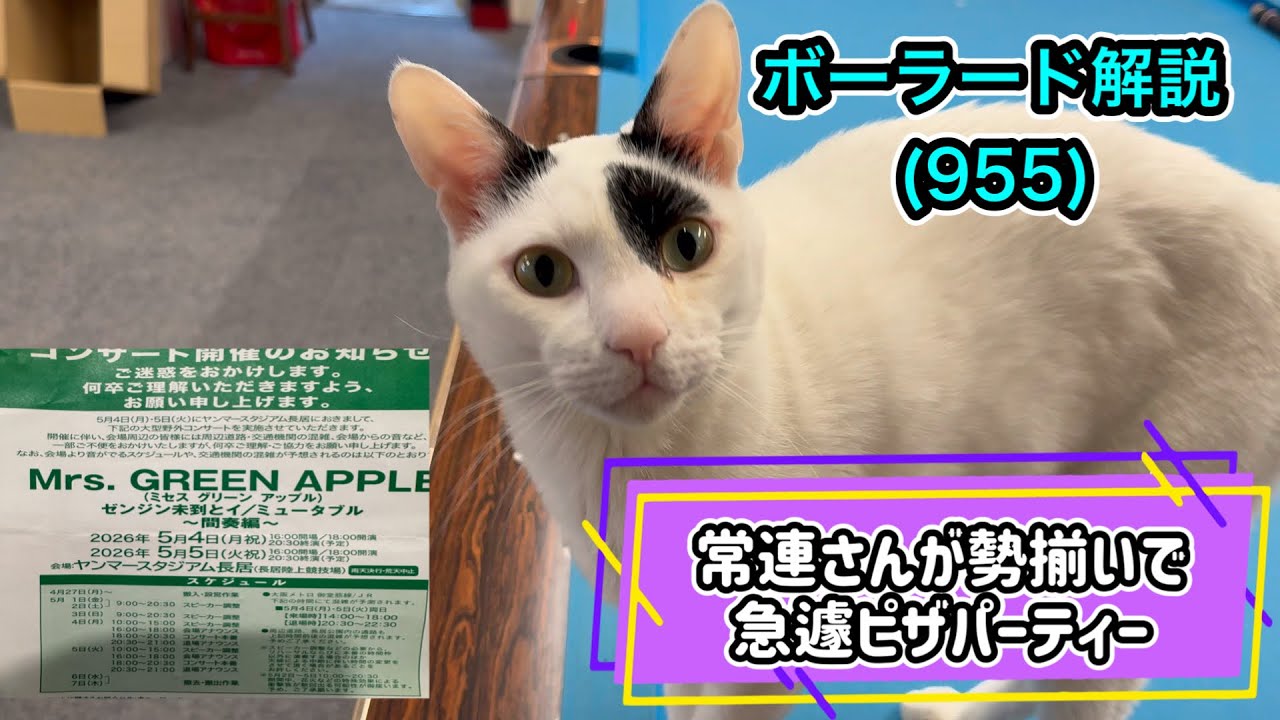 Cats and Billiards] Kaiba's Billiards Commentary (955) Long stays