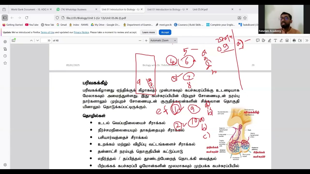 Doing Essay Question in Advanced Level Biology!